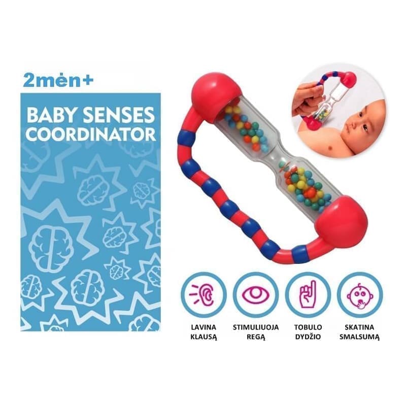 „Brain Builders” barškutis „Tarškutis“